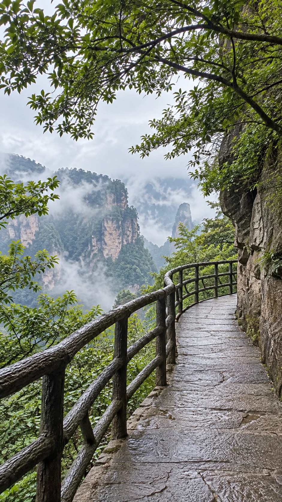 山間石徑沿崖伸向雲霧中的峰巒